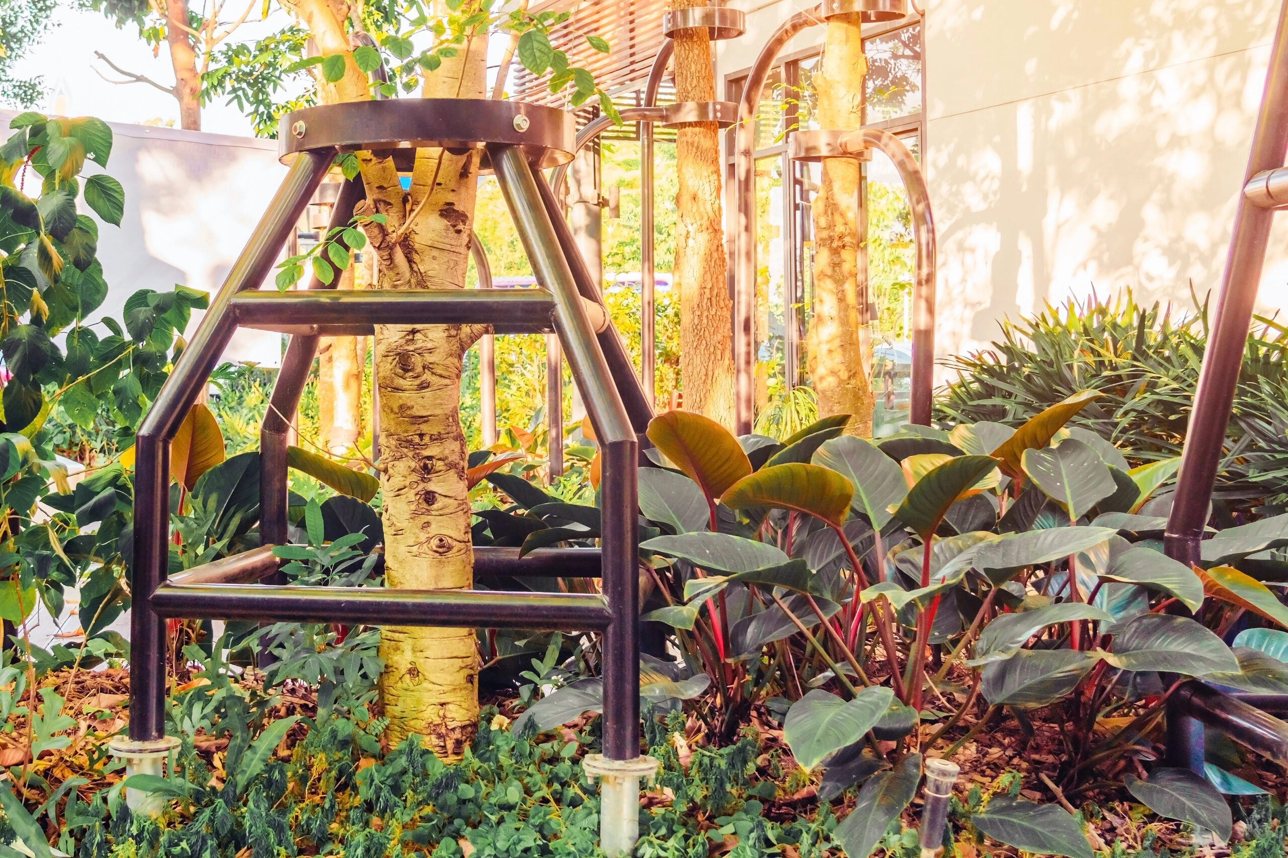 A young tree supported by a metal frame stands among green plants and foliage in a landscaped garden area.